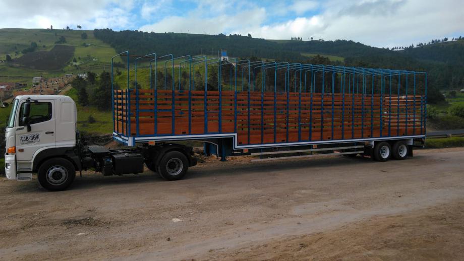 Transporte en Patineta de 2 ejes  en Tucupita, Delta Amacuro, Venezuela